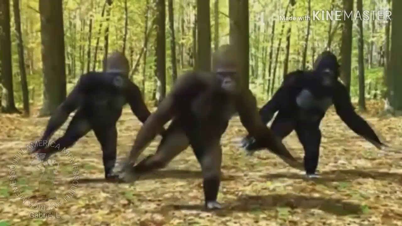 EU OLHEI PRO LADO E VI UM MACACO