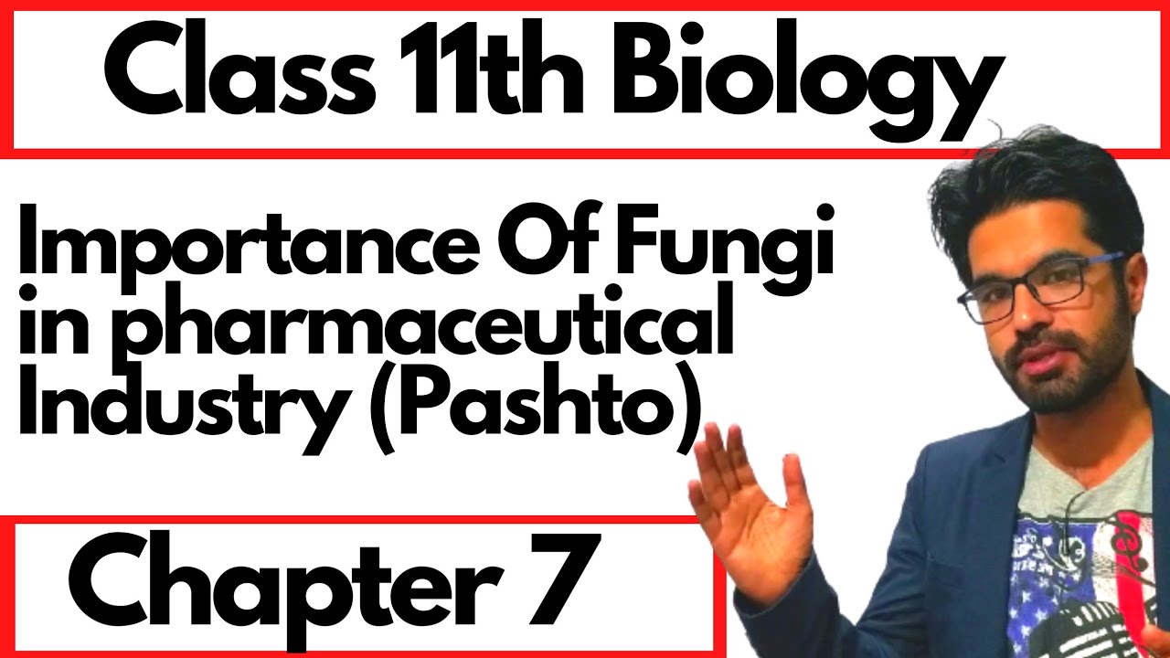 Importance Of Fungi in pharmaceutical industry || Chapter 7 protista ...