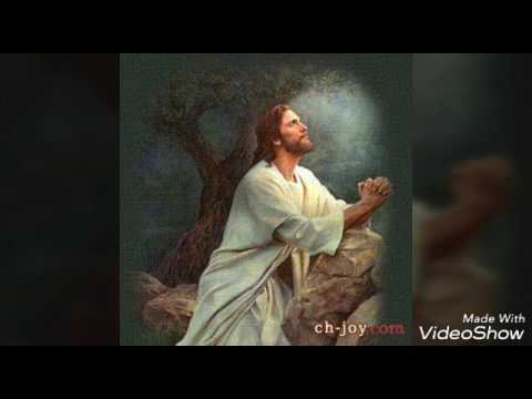رافع عيوني في سما أطلب منك يا يسوع أنك ترحمني برحمتك