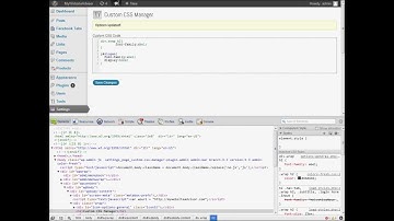 Custom CSS Manager Plugin for WordPress