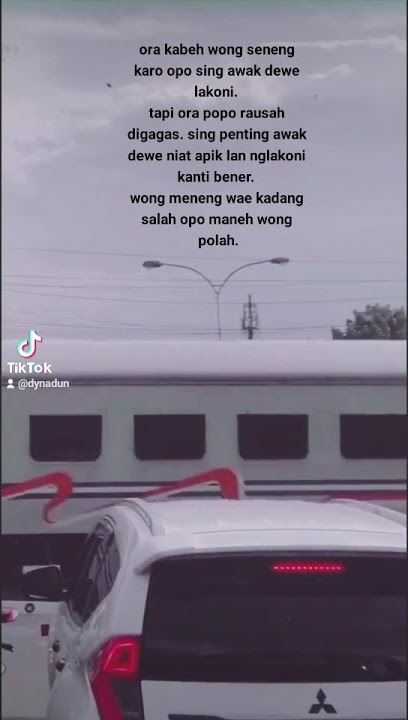 storywhatshap jawa dj alum kembang viral tiktok