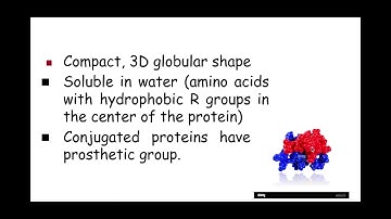 2.1.2. Biological Molecules n) and o) Globular and Fibrous Proteins