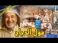 قضية مول الدجاج لي رونات الدار البيضاء الحل متأكدة غيصدمكم قضية مول الدجاج لي رونات الدار البيضاء الحل متأكدة غيصدمكم