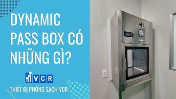 Dynamic Pass Box có những gì?