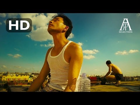 La Révolution Wong Kar-wai - Nos années sauvages + Les cendres du temps + Chungking Express + Les anges déchus + Happy Together