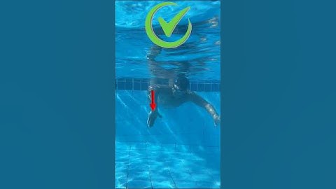 Front Crawl Swimming Technique – Arms That Really Move You