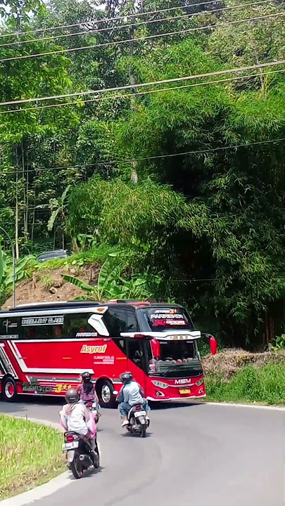 nada apa ini? komen #basuri #busmania #asyorf #fadel #buspariwisata #msm #pariwisata