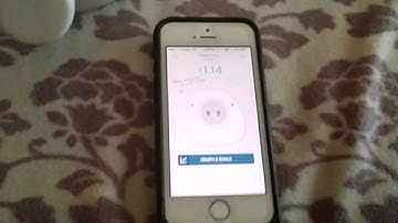 Quirky Porkfolio Troubleshooting The Bacon