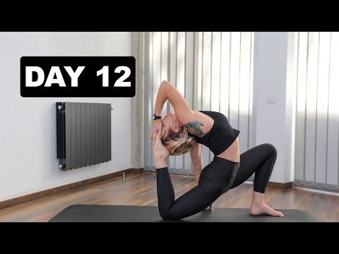 მოტივაცია - დღე 12