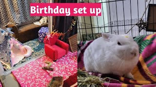 BIRTHDAY SET UP FOR CHIKU CHERRY MUFFIN | BACCHO KO GIFTS MILE | MY EDEN