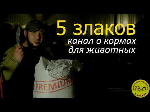 Всё о кормах для животных.