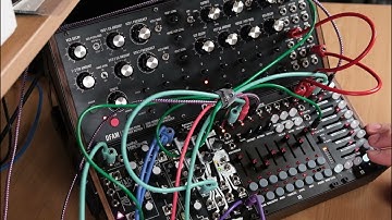 Moog DFAM + Noise Engineering BIA Eurorack Synth Jam "Laws of Chance"