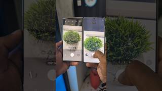Samsung S25 Ultra vs Samsung S24 Ultra | Camera Test for Portrait Mode #shorts #s25ultra #s24ultra
