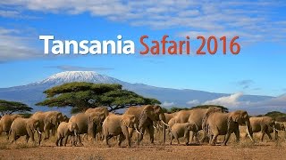 Tansania Safari 2016