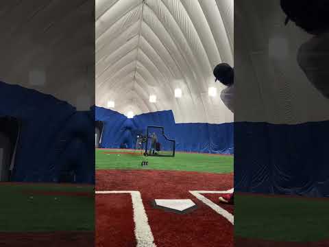 Pro velocity bat