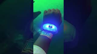 South Side Story 2026 | The Energy of LED Bands with Hookaba                      #shorts #hookaba