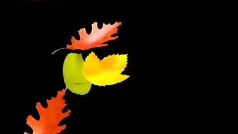 Free Stock Footage Falling Leaves