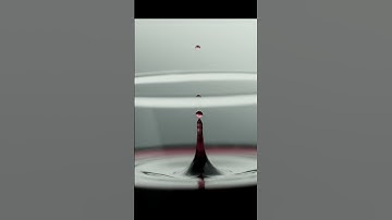 #Slowmotion Wine Drop BTS | Chronos Cameras