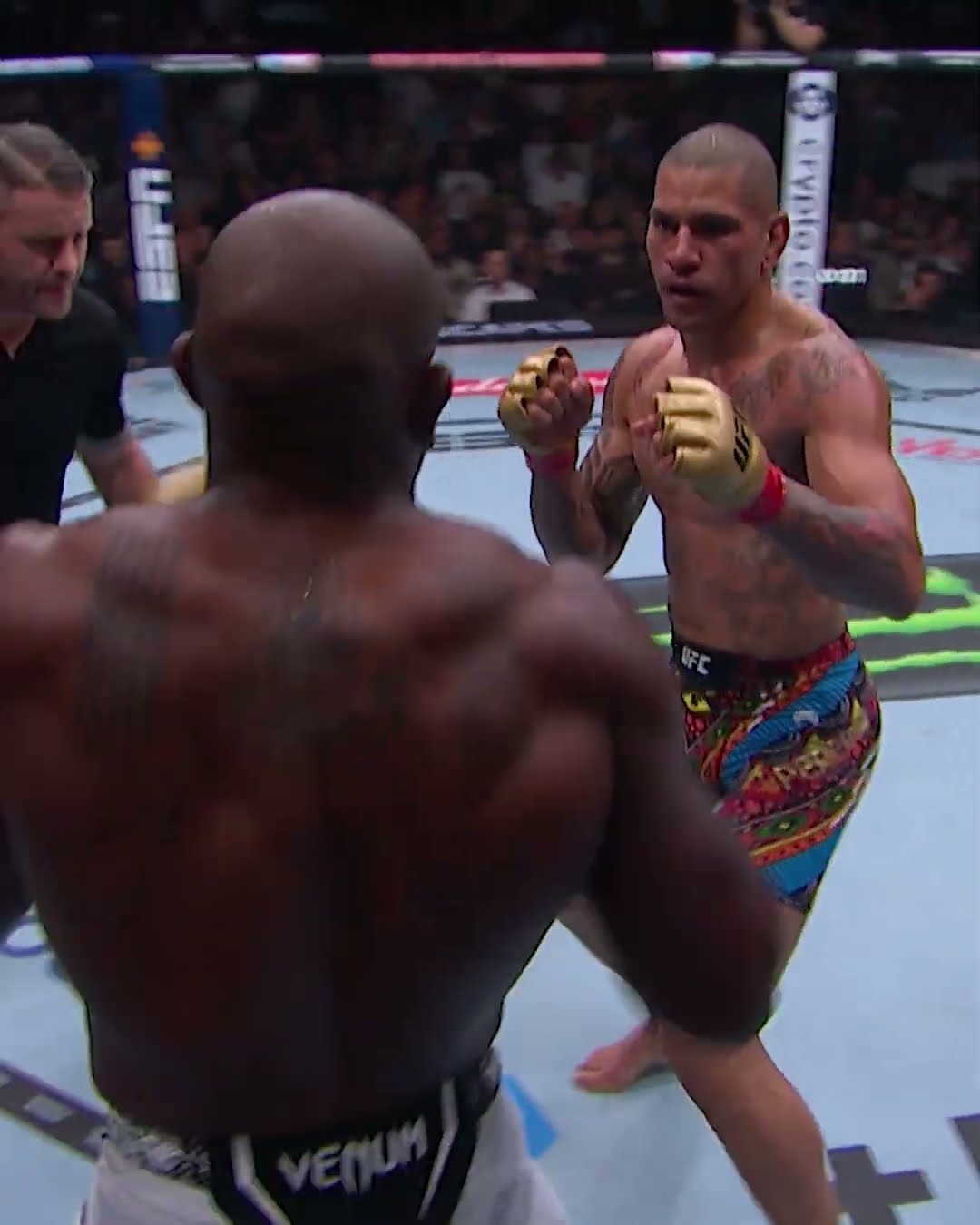 Pereira and Rountree Jr. were going at it! ? #ufc