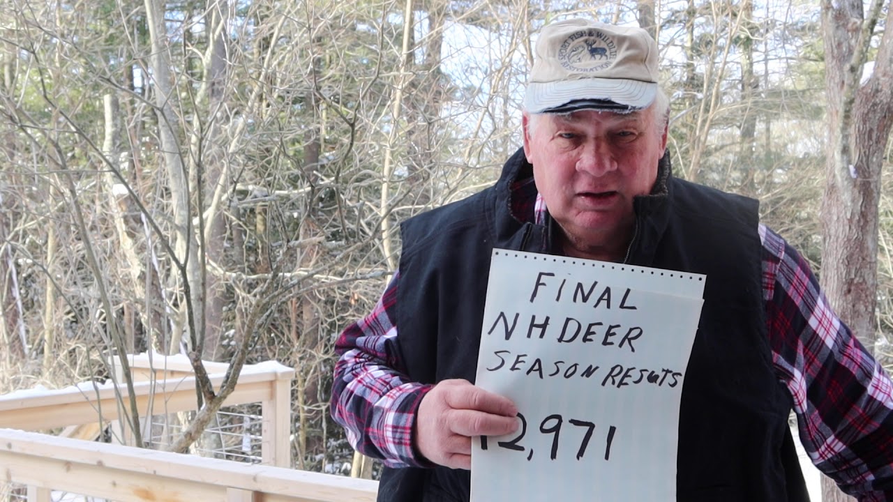 Fourth Highest Deer taking in NH in 2020 YouTube