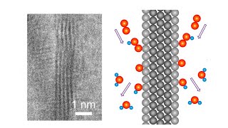 Tunable Intrinsic Strain in Two-Dimensional Transition Metal Electrocatalysts