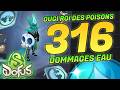 -2000 AU POISON ?! OUGI 316 DO EAU SUR DOFUS 3
