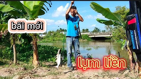 câu cá tra sông II cá mè ✅ bãi mới đãi người cũ