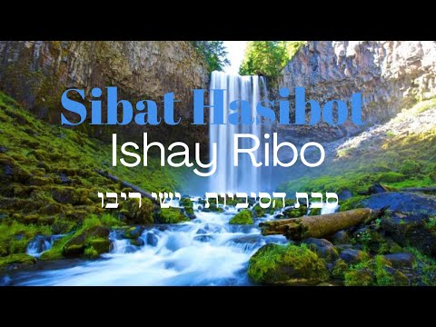 וִידֵאוֹ: מה יכולות להיות הסיבות האפשריות) להופעת חריגים?