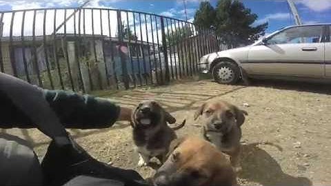 Thumbnail of The Chemical Brothers - The Sunshine Underground