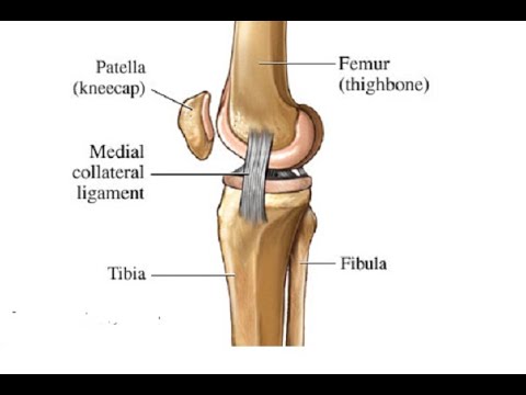 Лигаментита связок коленного
