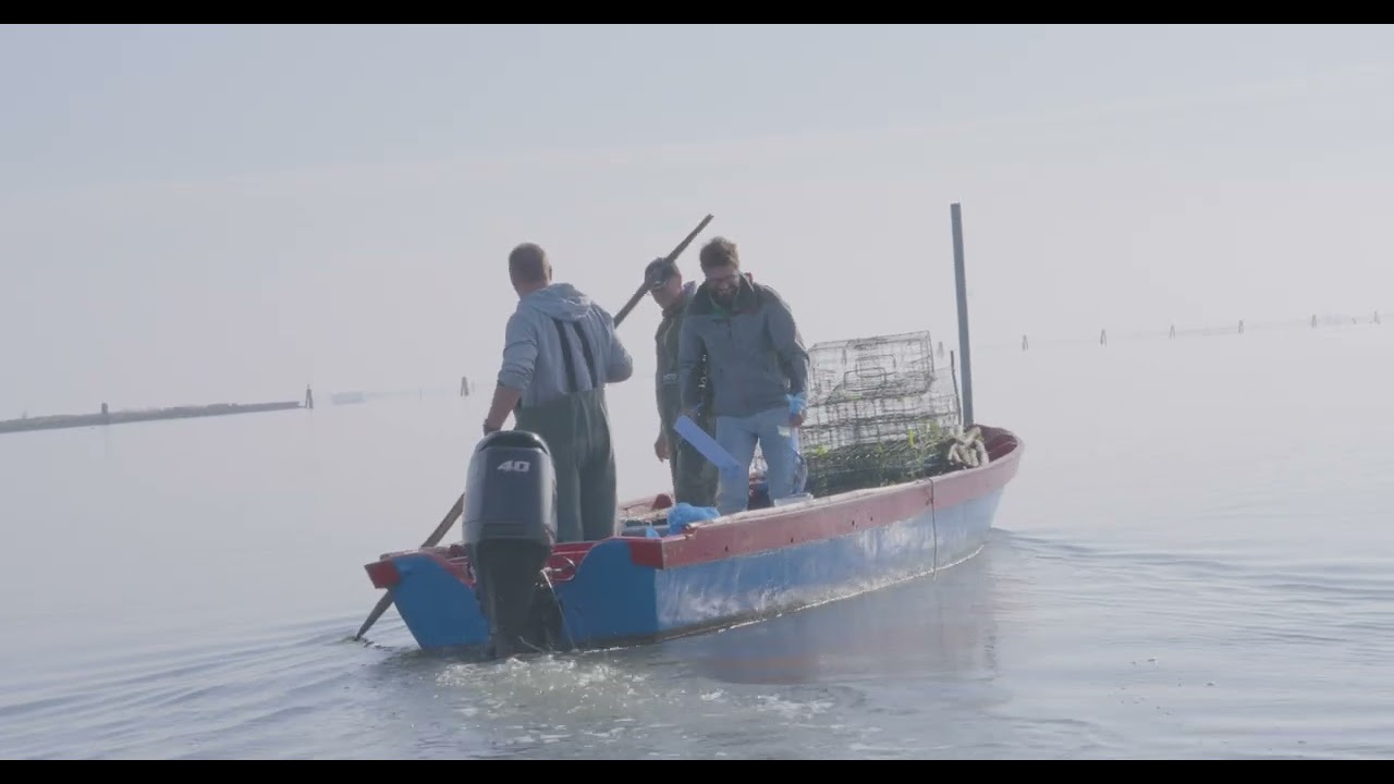 Granchio Blu: Ricerca, Analisi e Impatti sulla Pesca