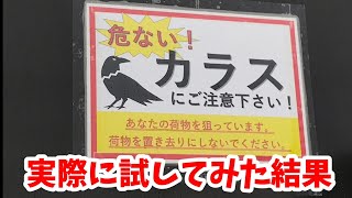 コレが本当か実際に試してみた 20220606、カラス&四つ足カルテット