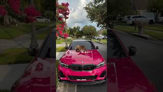 FIxr loves pink 🌸 cars •#leopardcat #bengalcat #catsofinstagram #bmw #pink #shorts