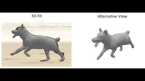 Creatures Great and SMAL: Recovering the shape and motion of animals from video (ACCV 2018, Oral)
