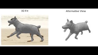 Creatures Great and SMAL: Recovering the shape and motion of animals from video (ACCV 2018, Oral)
