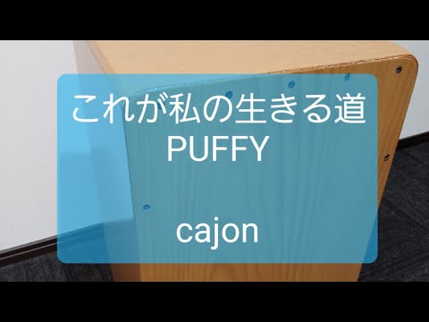 これが私の生きる道/PUFFY/弾き語り用