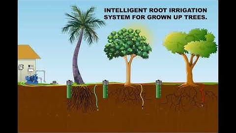 Root Irrigation from JTIP