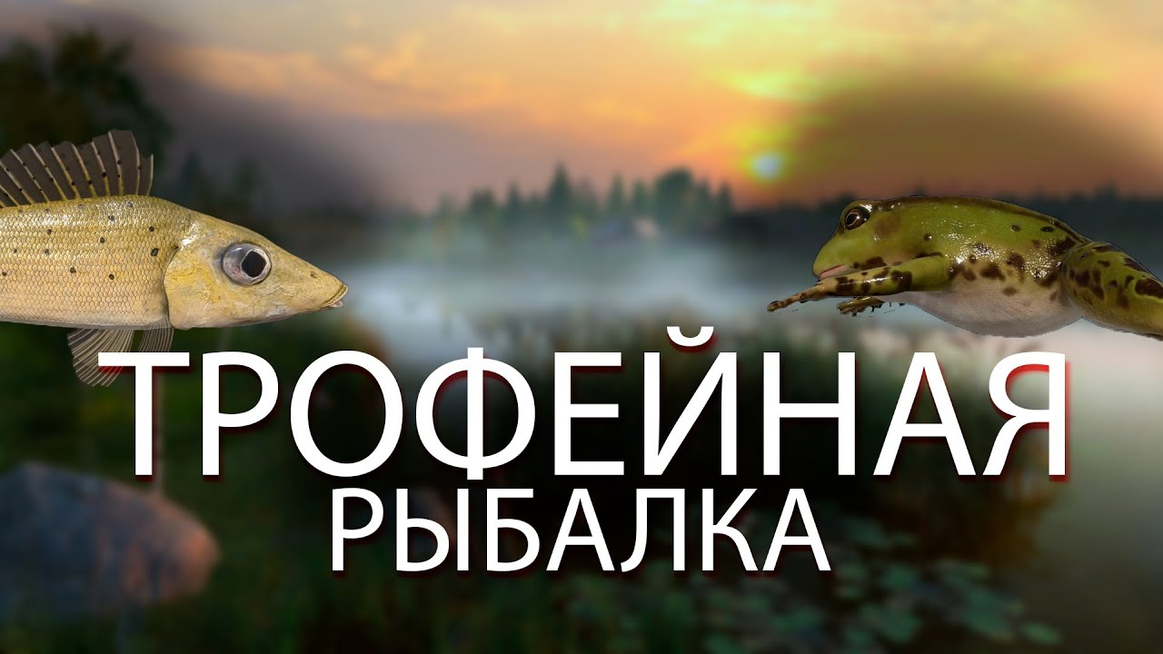Стрим Русская Рыбалка 4 | Закрытие трофеев на разных водоёмах - YouTube