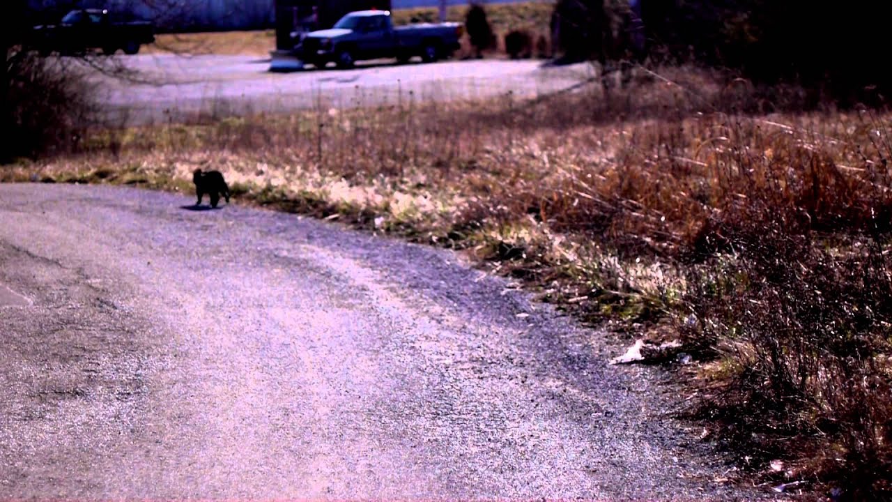 The Only Witch Trial In Ohio YouTube