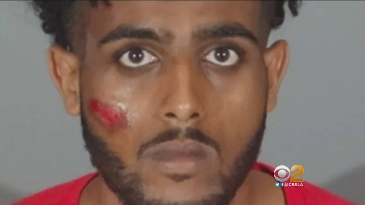 Suspect In Deadly Santa Monica Hit-And-Run Faces Judge, Accusations