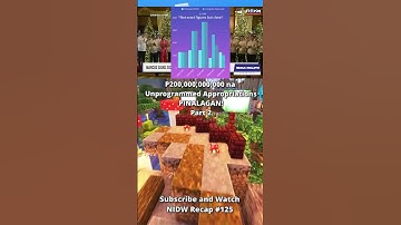 P200,000,000,000 na Unprogrammed Appropriations, PINALAGAN! Part 2