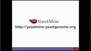 Famous SGD Webinars - Homology and Disease Data at SGD Profile