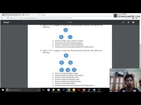 Ex8 Process creation