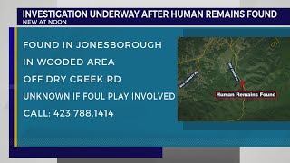Human remains found in ‘remote wooded area’ in Jonesborough, investigation ongoing