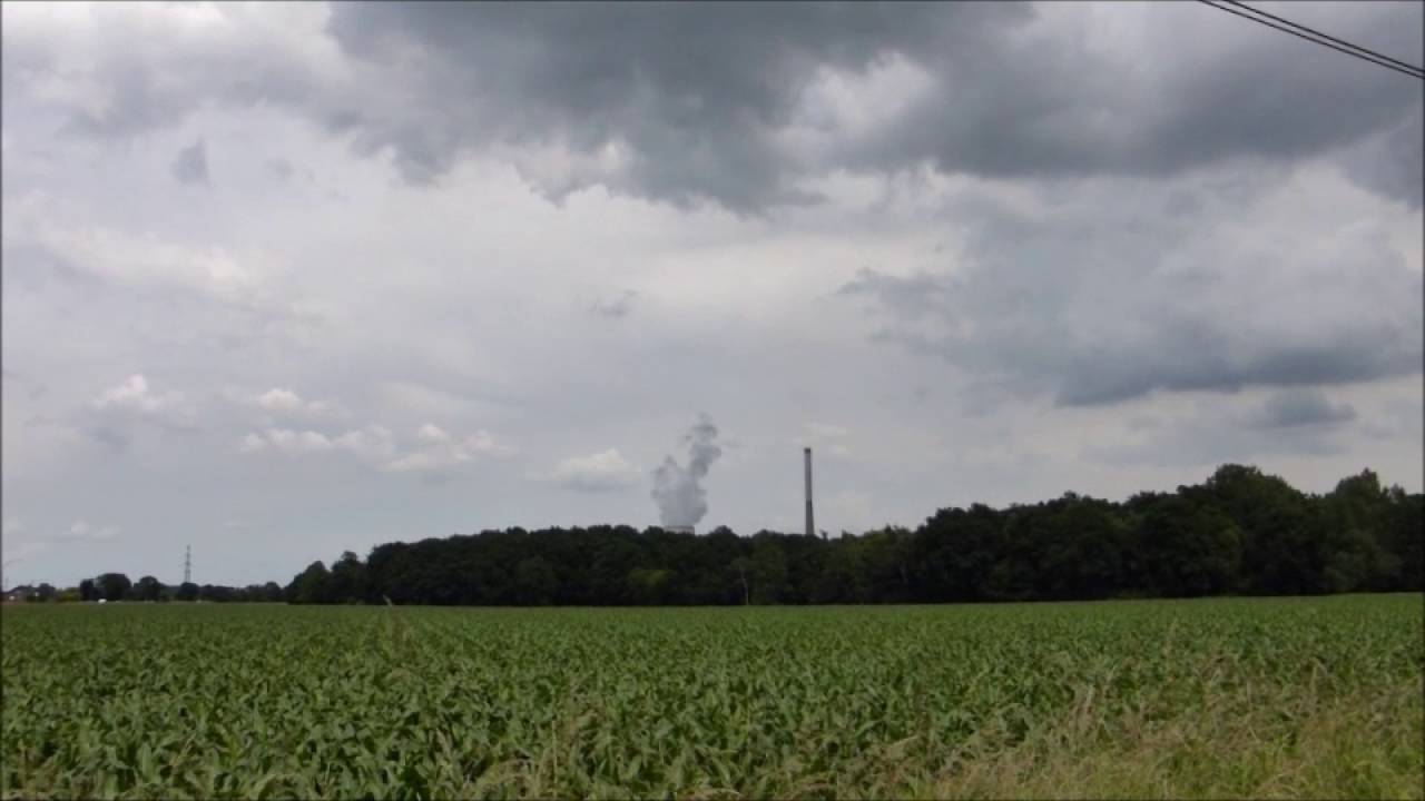 Gelbliche Grüße aus Bergkamen am 16. Juni 2016