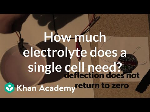 How much electrolyte does a single cell need? | Physics | Khan Academy