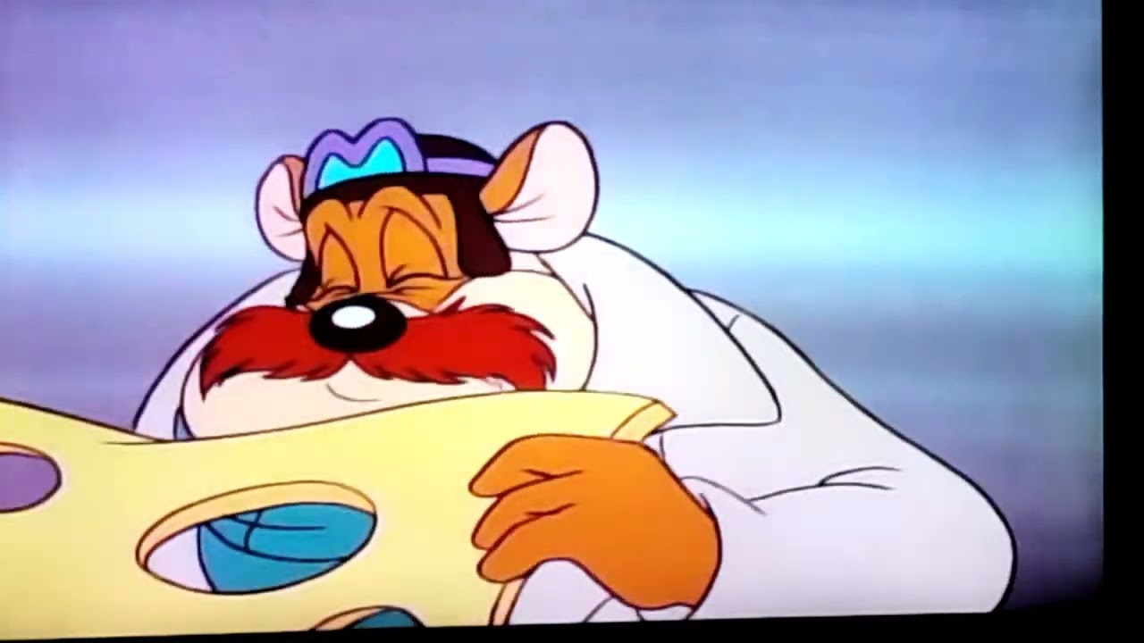 Monterey Jack eats Cheese