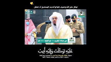 "وَمَا تَوۡفِيقِيٓ إِلَّا بِٱللَّهِۚ" تلاوة رائعة لغريد الحرم د. ياسر الدوسري ~ حالات الواتساب