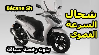 تجربة Becane SH : شحال كتجري فعلاً؟ 😱 | Test Ride & أقصى سرعة!