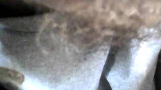 Capture 20151101 59